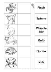 AB-Tiere-Zuordnung 9.pdf